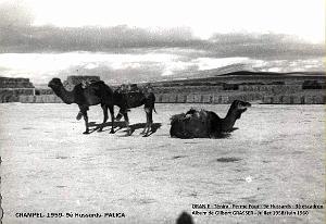 Grasser-9e Hussards - 082